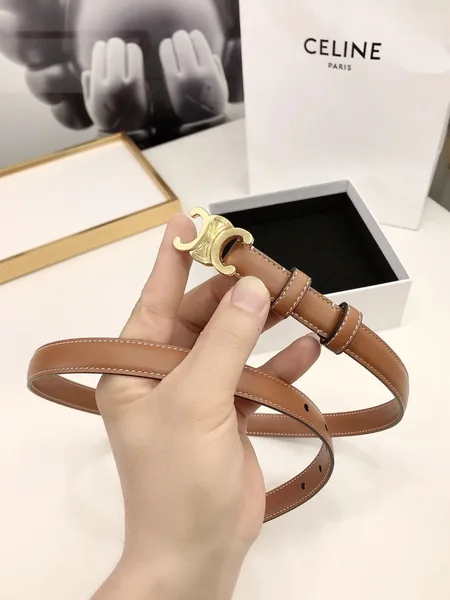 Celine Small Triomphe Belt 18MM in Brown Calfskin product view 6