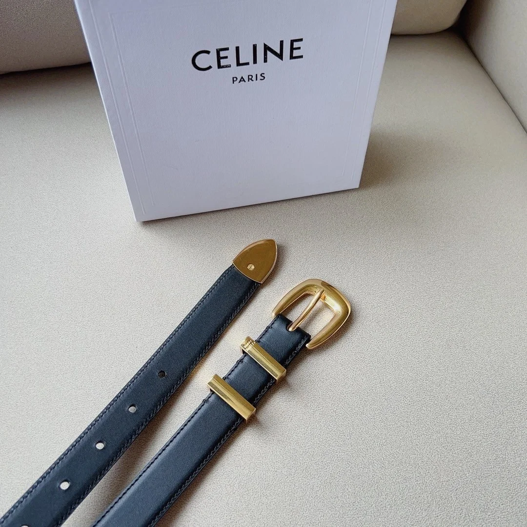 Celine Medium Western Belt 25mm — Black Calfskin with Gold-Tone Hardware product view 7