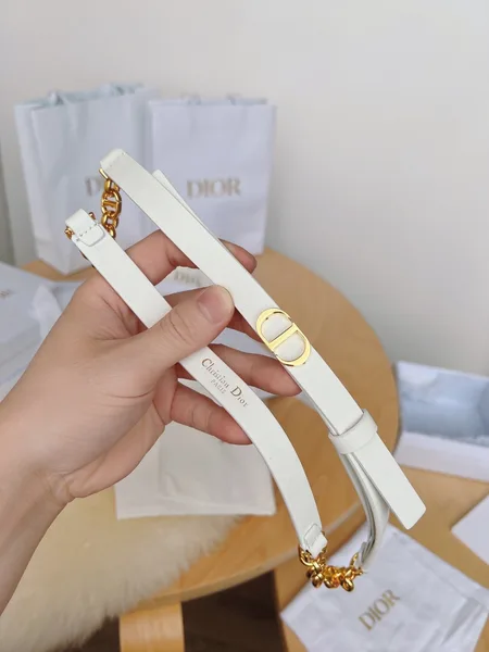 Dior Caro 15MM Belt in White Calfskin and Chain product view 6