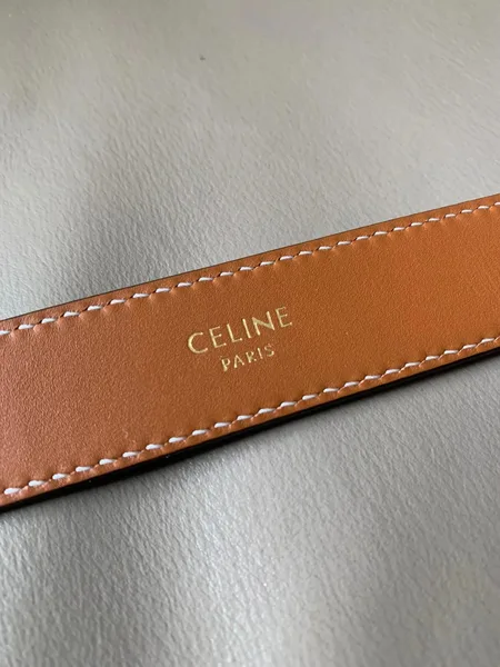 Celine Medium Triomphe Belt 25MM in Tan Triomphe Canvas product view 4